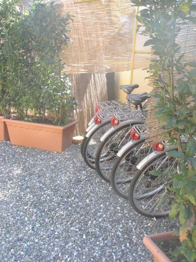 B&B La Rondine Tra Pisa E Lucca Сан Джулиано Терме Екстериор снимка