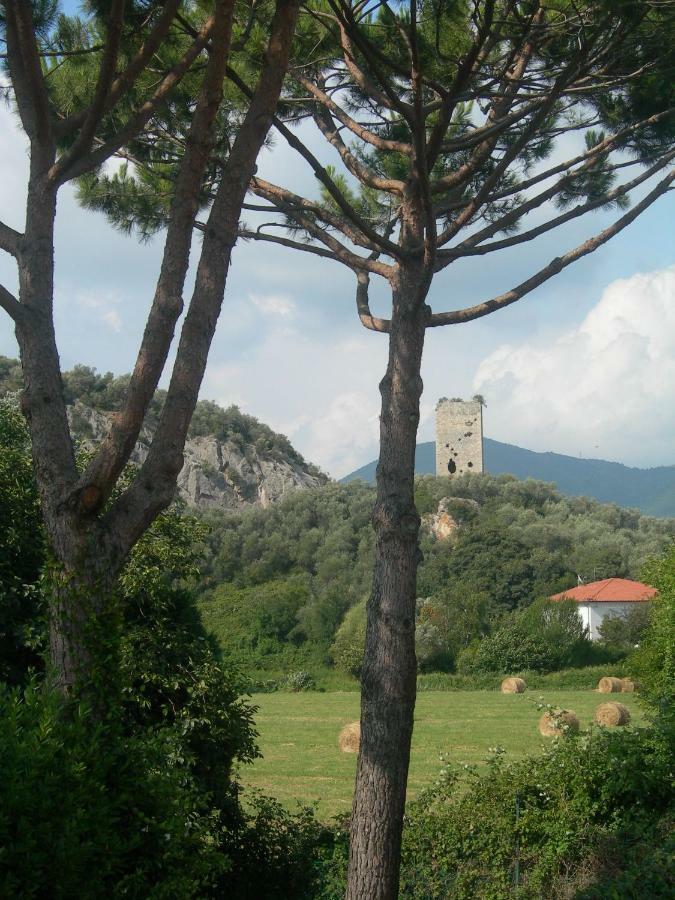 B&B La Rondine Tra Pisa E Lucca Сан Джулиано Терме Екстериор снимка