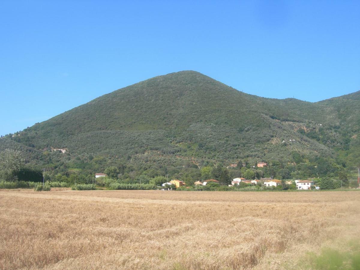 B&B La Rondine Tra Pisa E Lucca Сан Джулиано Терме Екстериор снимка